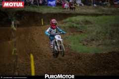 PuroMotor Motocross-605