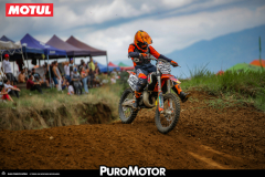 PuroMotor Motocross-709