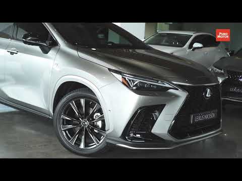 Lexus NX350h / Primer contacto