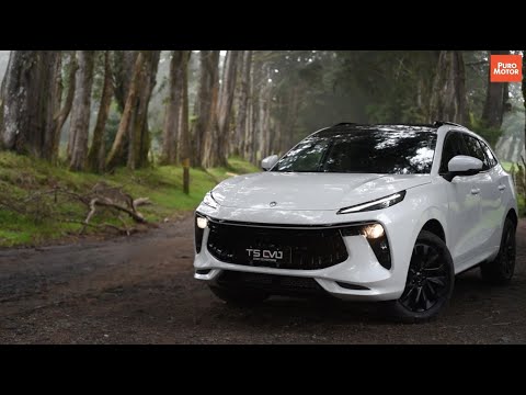 DFM T5 EVO / Test Drive