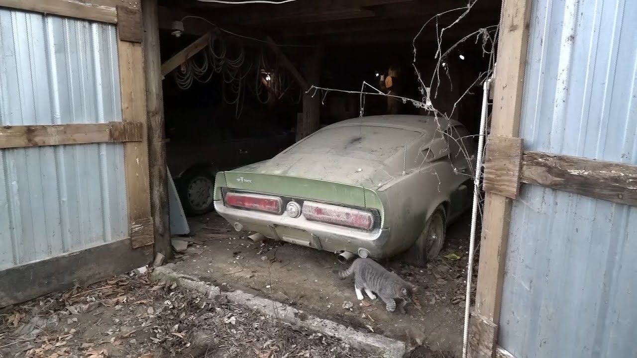 1967 Shelby GT500 Barn Find & Appraisal Price Paid