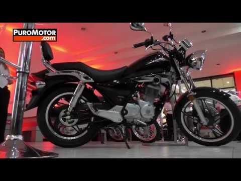 HONDA SHADOW 150 AGENCIA SAVA