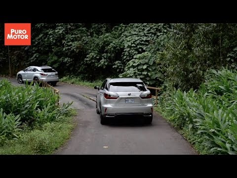 RALLY LEXUS HÍBRIDOS 2018