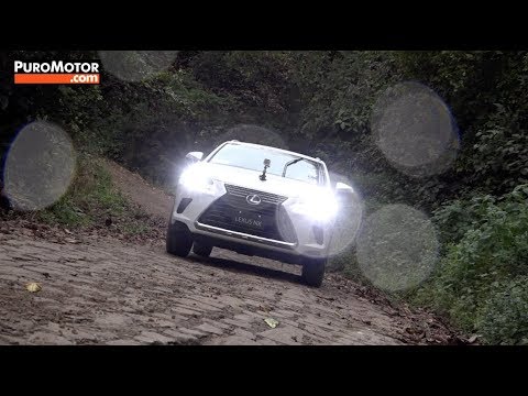 Lexus NX300 2018 Test Drive
