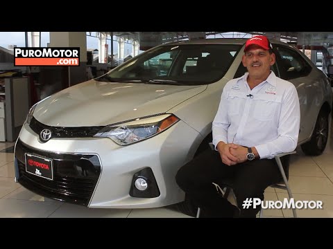 Andrés Montalto piloto Toyota CTCC - PUROMOTOR