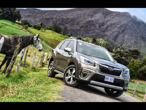 Subaru Forester 2021 a prueba