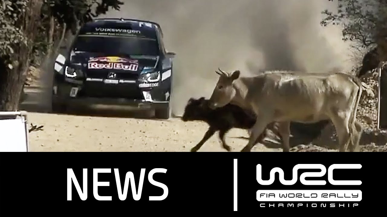WRC Rally Guanajuato México 2016: Stages 1-6