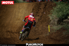 PuroMotor Motocross-230