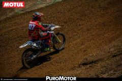 PuroMotor Motocross-300