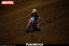 PuroMotor Motocross-355