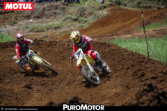 PuroMotor Motocross-441