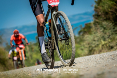 ArenalEpicMTBPUROMOTOR-208