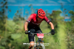 ArenalEpicMTBPUROMOTOR-232