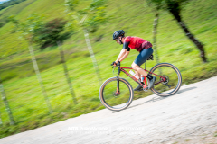 ArenalEpicMTBPUROMOTOR-528