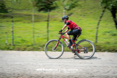 ArenalEpicMTBPUROMOTOR-533