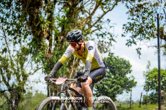 ArenalEpicMTBPUROMOTOR-625