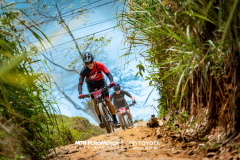 ArenalEpicMTBPUROMOTOR-775