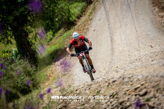 ArenalEpicMTBPUROMOTOR-835