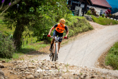 ArenalEpicMTBPUROMOTOR-850