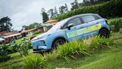 Geely Geometry E