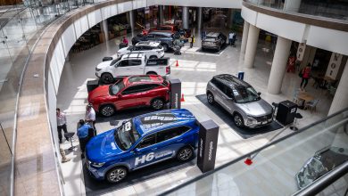 Exhibición modelos Multiplaza