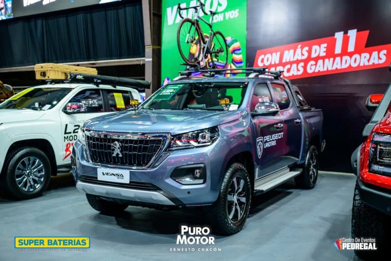 ECH_7639 - Puro Motor